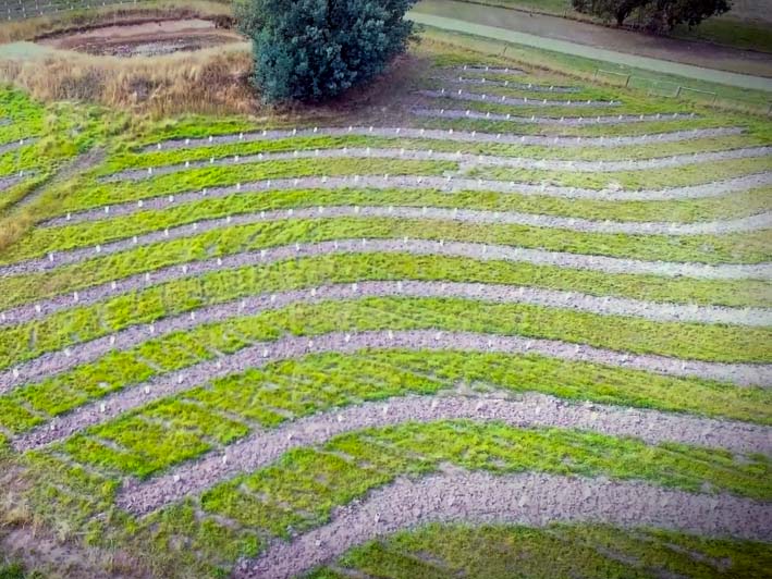 Revegetation of rural land - Cobaw Biolink